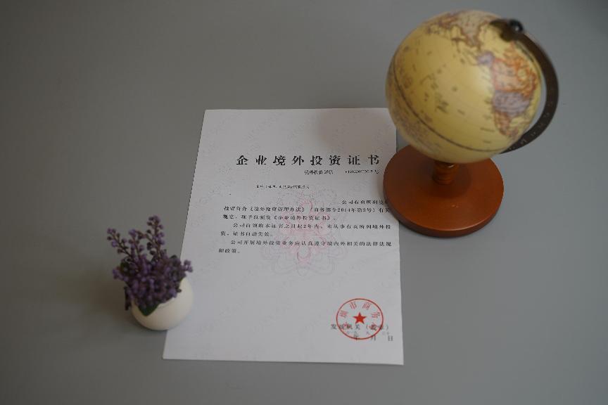 企業(yè)境外投資 企業(yè)境外投資