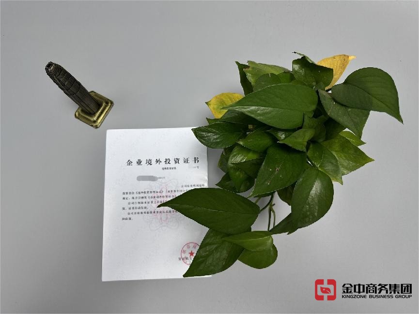 東南亞境外投資備案 東南亞境外投資備案