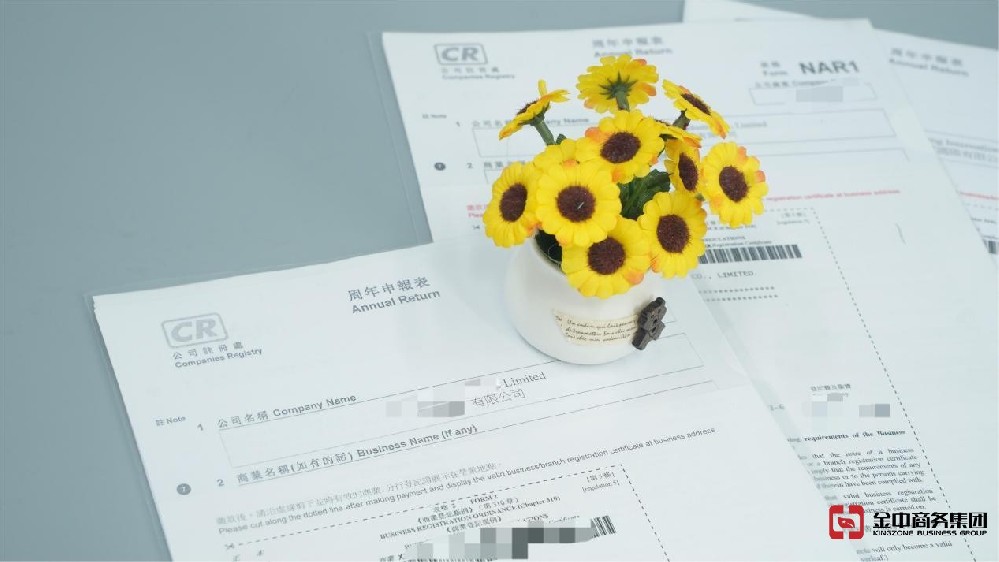 香港公司年審竟藏致命風(fēng)險？逾期后果超乎想象！